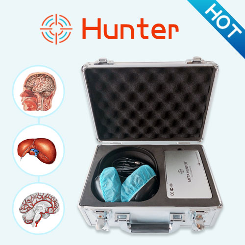 Metatron 4025 Hunter-Bioenergetic analysis of all the complex organs of the body