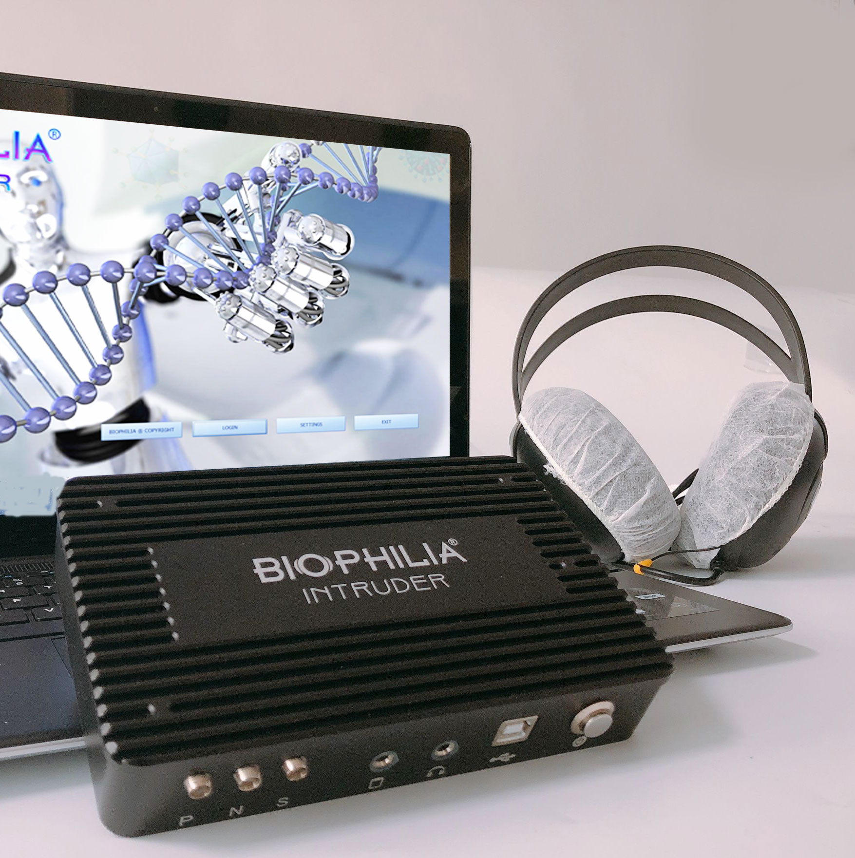 Biophilia Intruder and gastric ulcer
