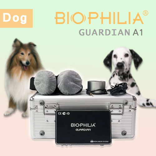 About the installation and new card of the dog software in Biophilia Guardian