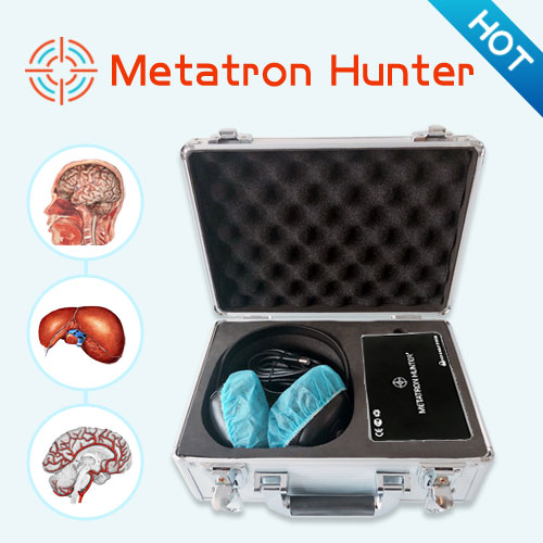 Metatron Hunter 4025 NLS Bioresonance Machine