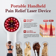 Newest Portable Handheld Laser Therapy Device for body
